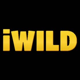 iWild najlepsze kasyna online tropikalne